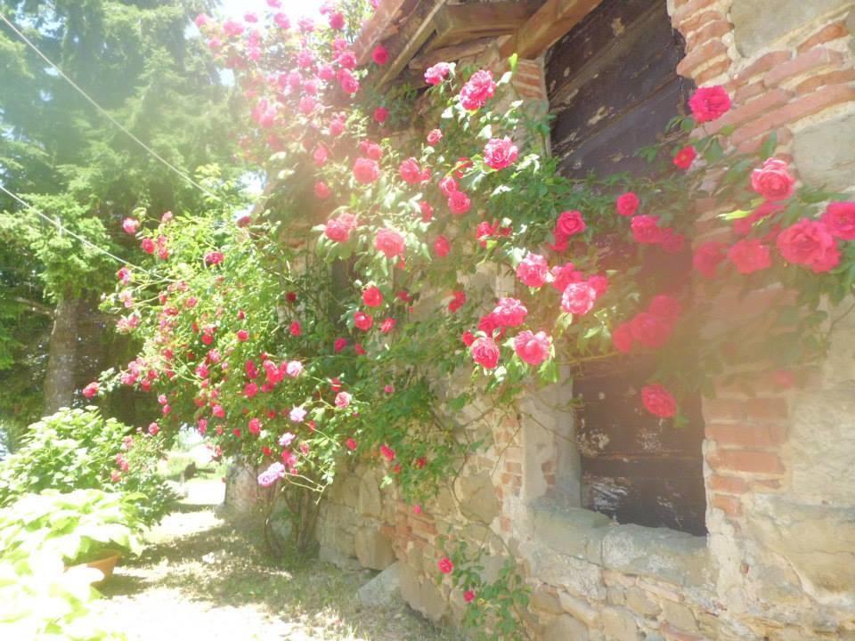Bottega Di Montegiovi Hotel Scopeti Exterior photo